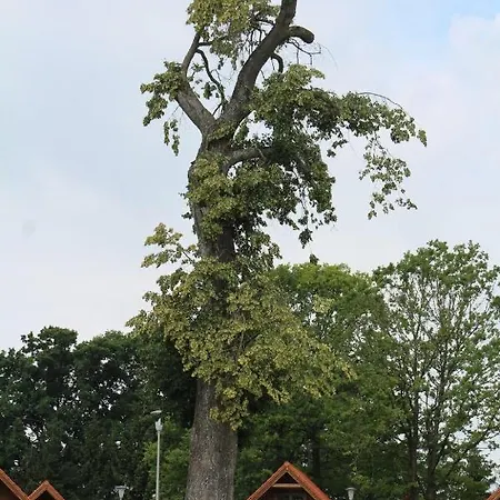 Ketrzynska Przystan Nad Jeziorem Mamry Parque de vacaciones *